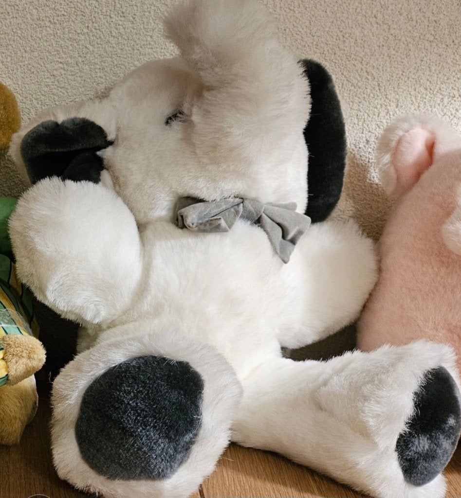 Knuffels Olifant, kikker, varken, kabouter, nieuw, geur vrij, Overige typen, Nieuw, Ophalen of Verzenden, Met label