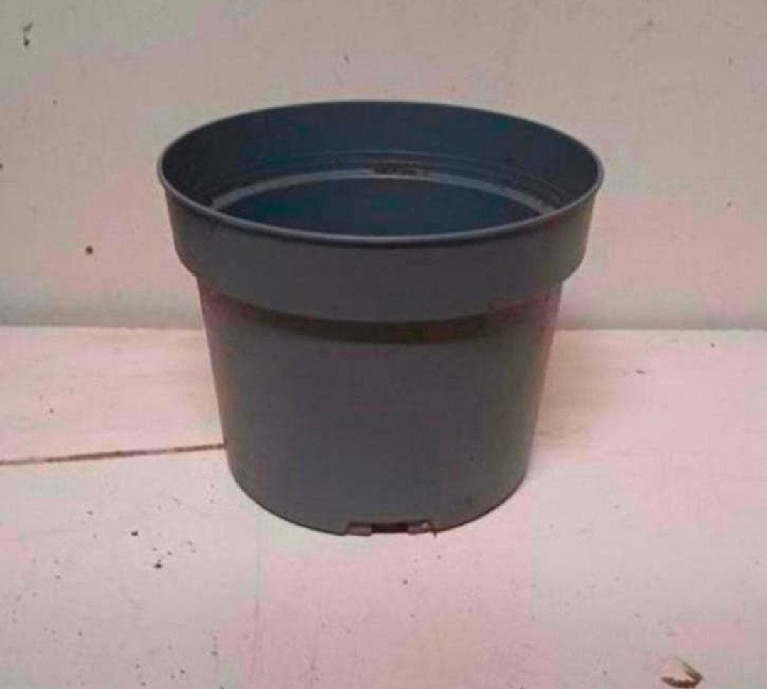 Kweekpotten plantenpotten bloempotten 2 liter, Tuin en Terras, Bloempotten, Kunststof, Gebruikt, Rond, Ophalen of Verzenden
