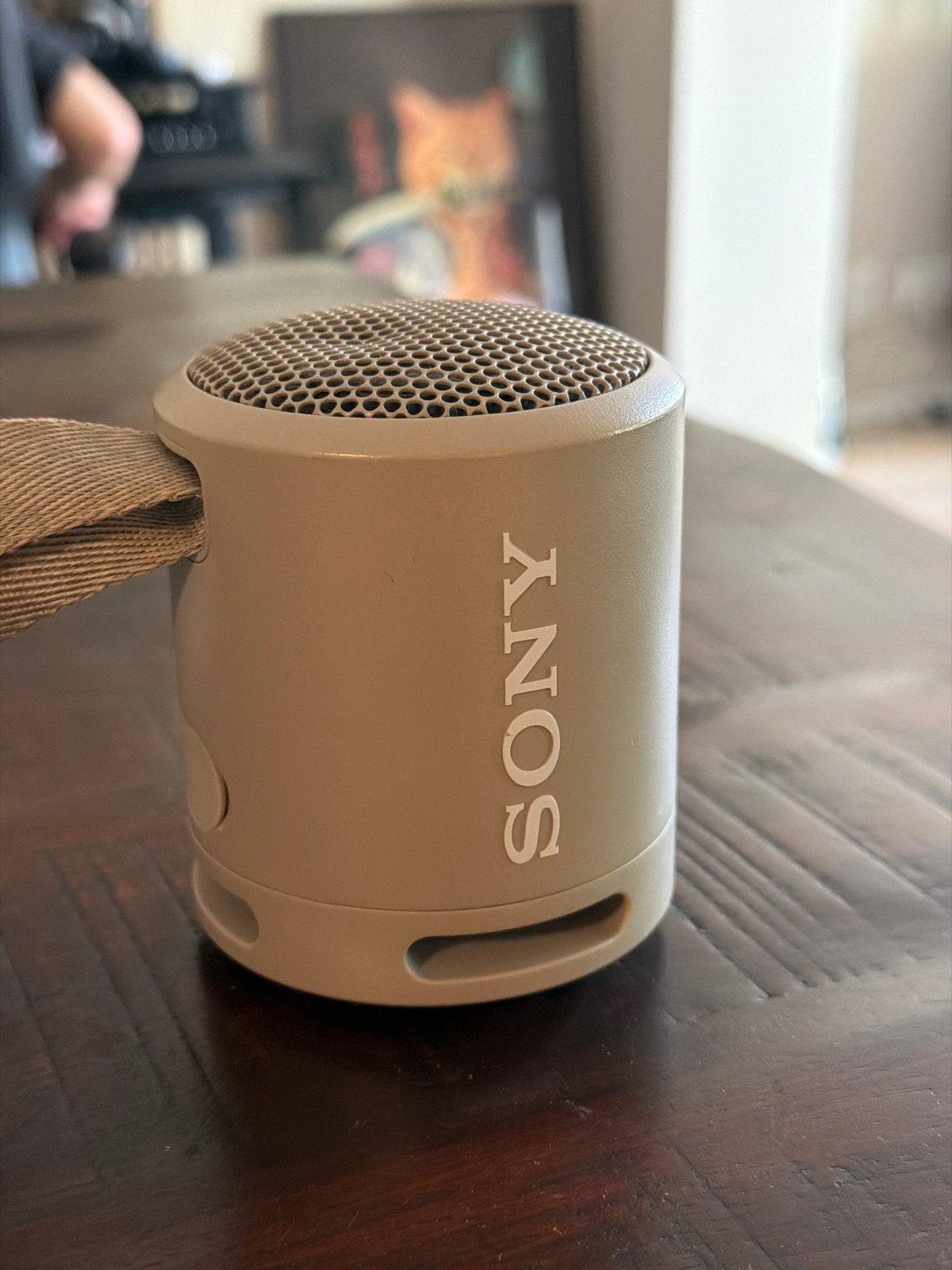 Sony Draagbare Speaker - Compact en Krachtig Geluid