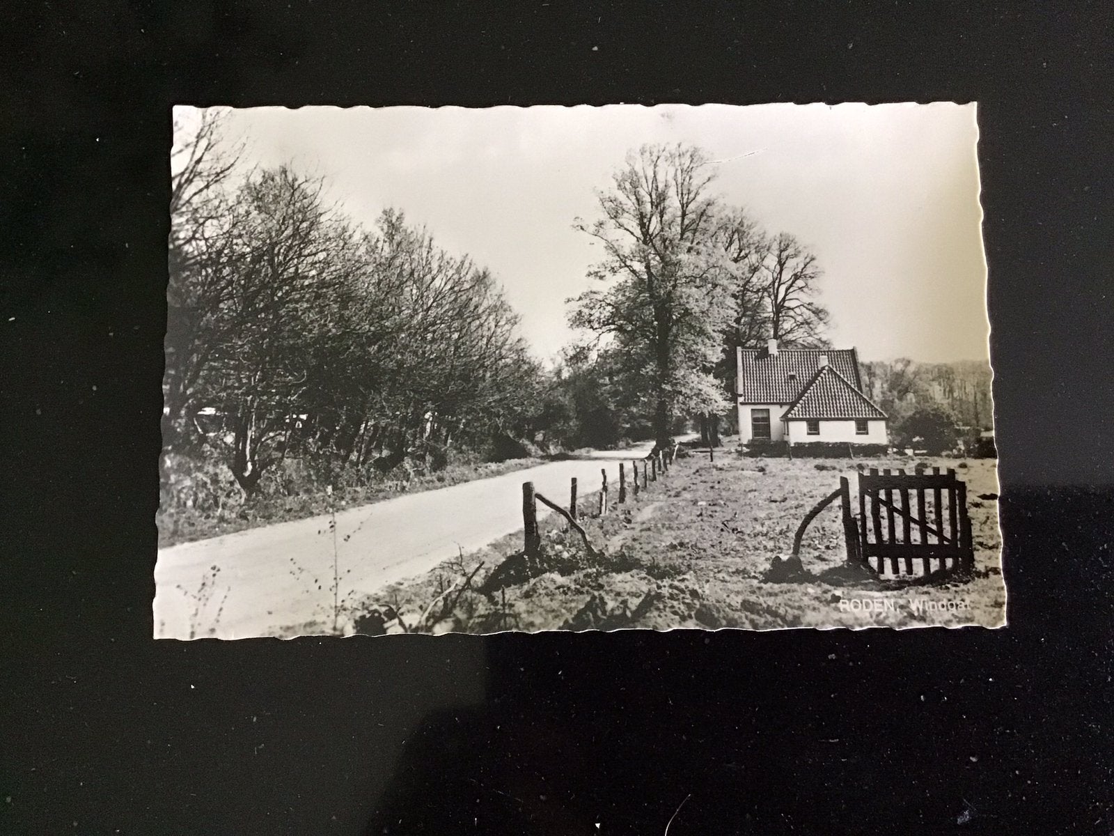 Ansichtkaart Roden, Natuur, Gebruikt, Foto, Ophalen of Verzenden