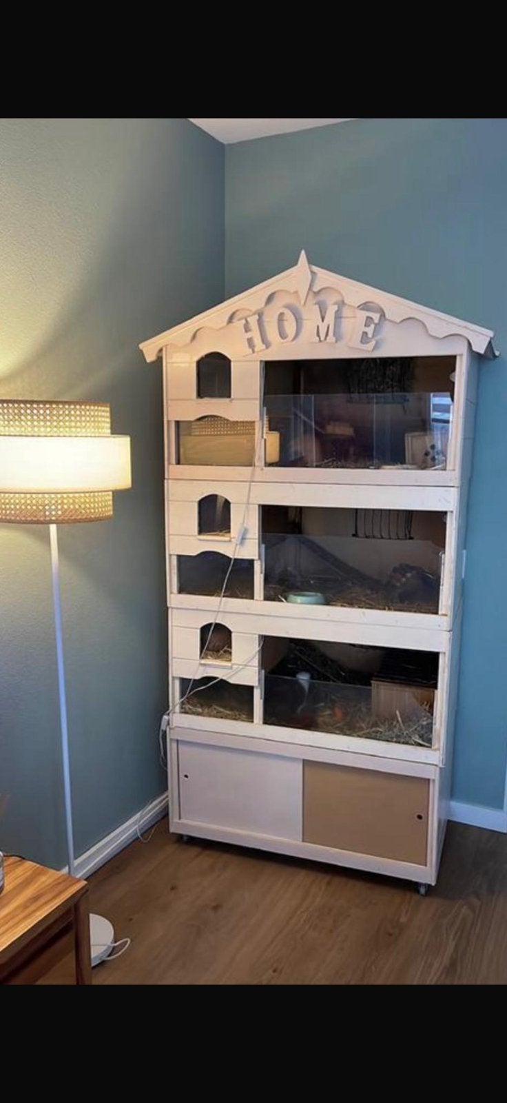 Cavia flat 4 verdiepingen, Ophalen of Verzenden