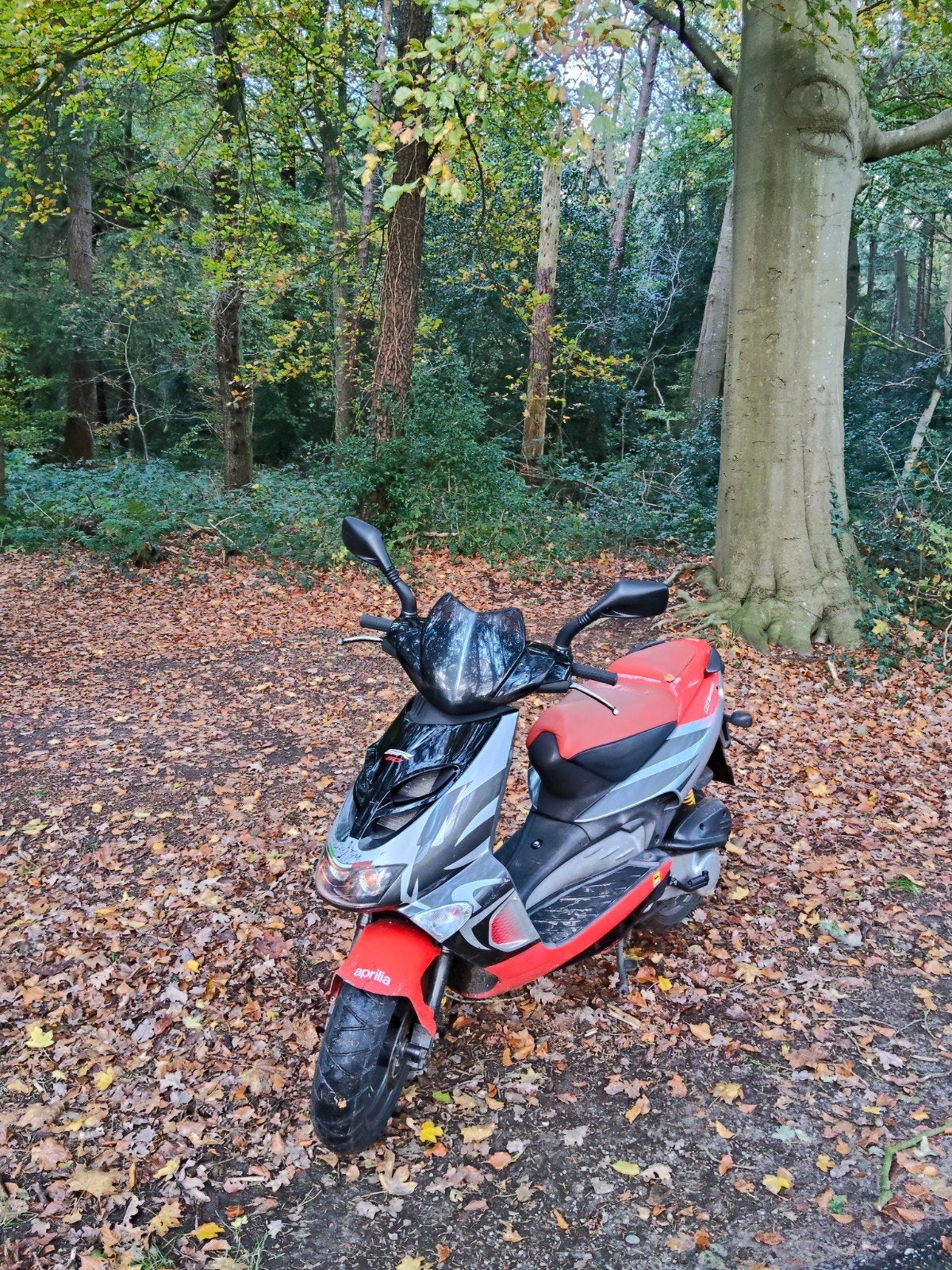 Aprilia SR 50 Piaggio scooter- Goed onderhouden, Ophalen, Tweetakt, Gebruikt, Maximaal 45 km/u