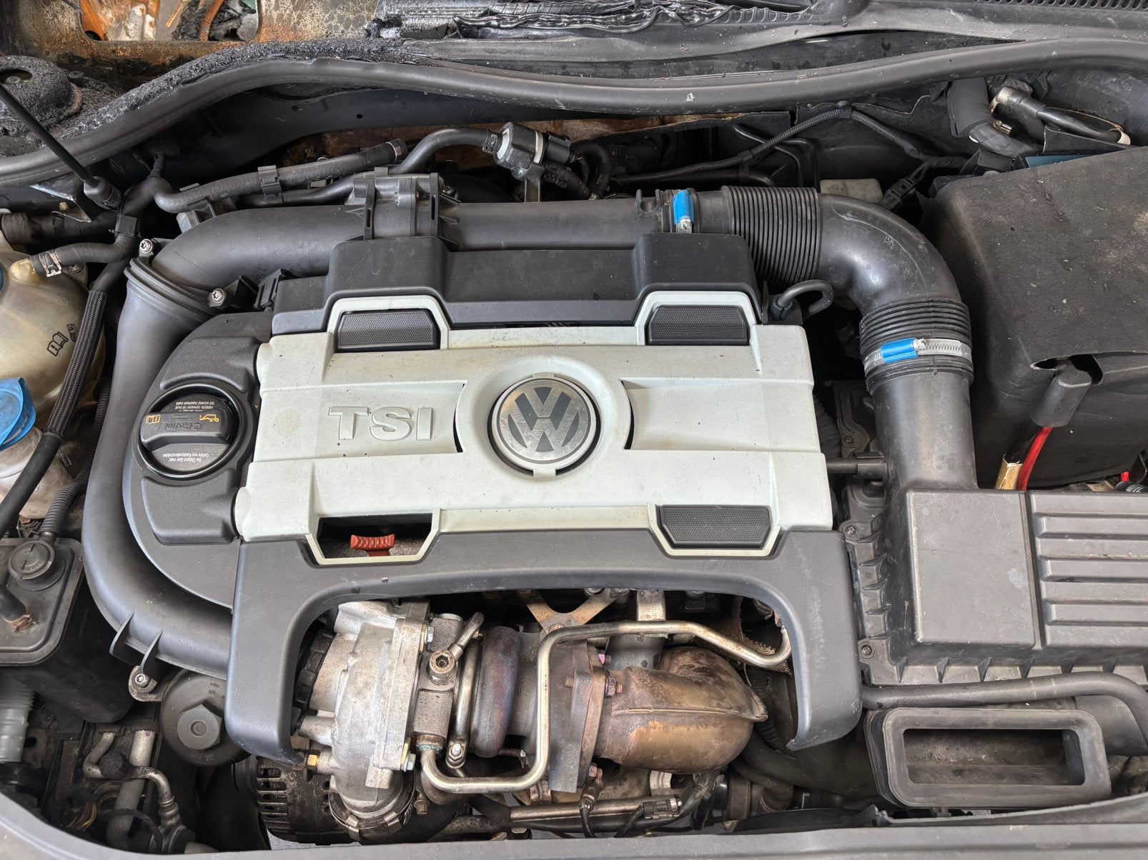 Motor vw Golf V 1.4 TSI 140PK, BMY, Ophalen, Gebruikt, Volkswagen