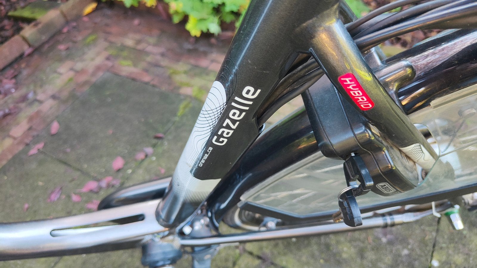 Foto 15 van Diverse Gazelle Electrische Fietsen