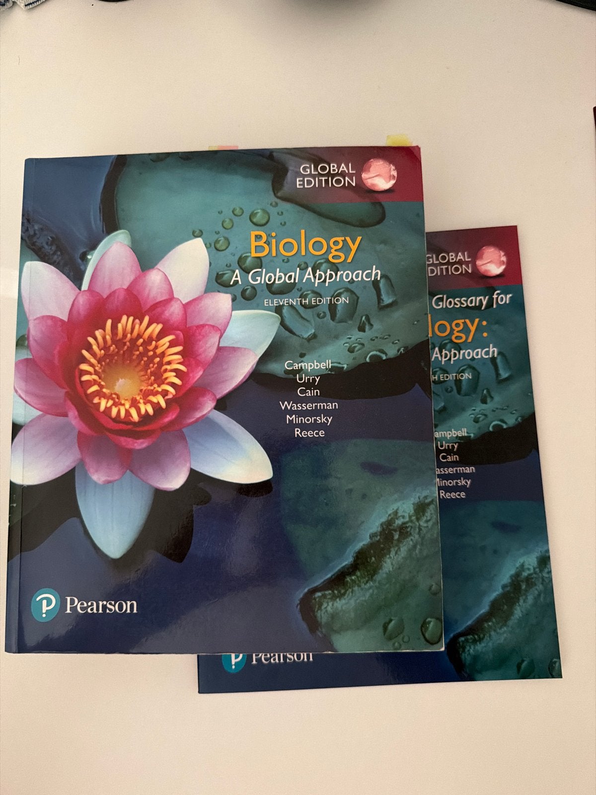 Biology: A Global Approach (Elfde Editie) + Woordenlijst, Ophalen of Verzenden, Beta, Zo goed als nieuw, HBO