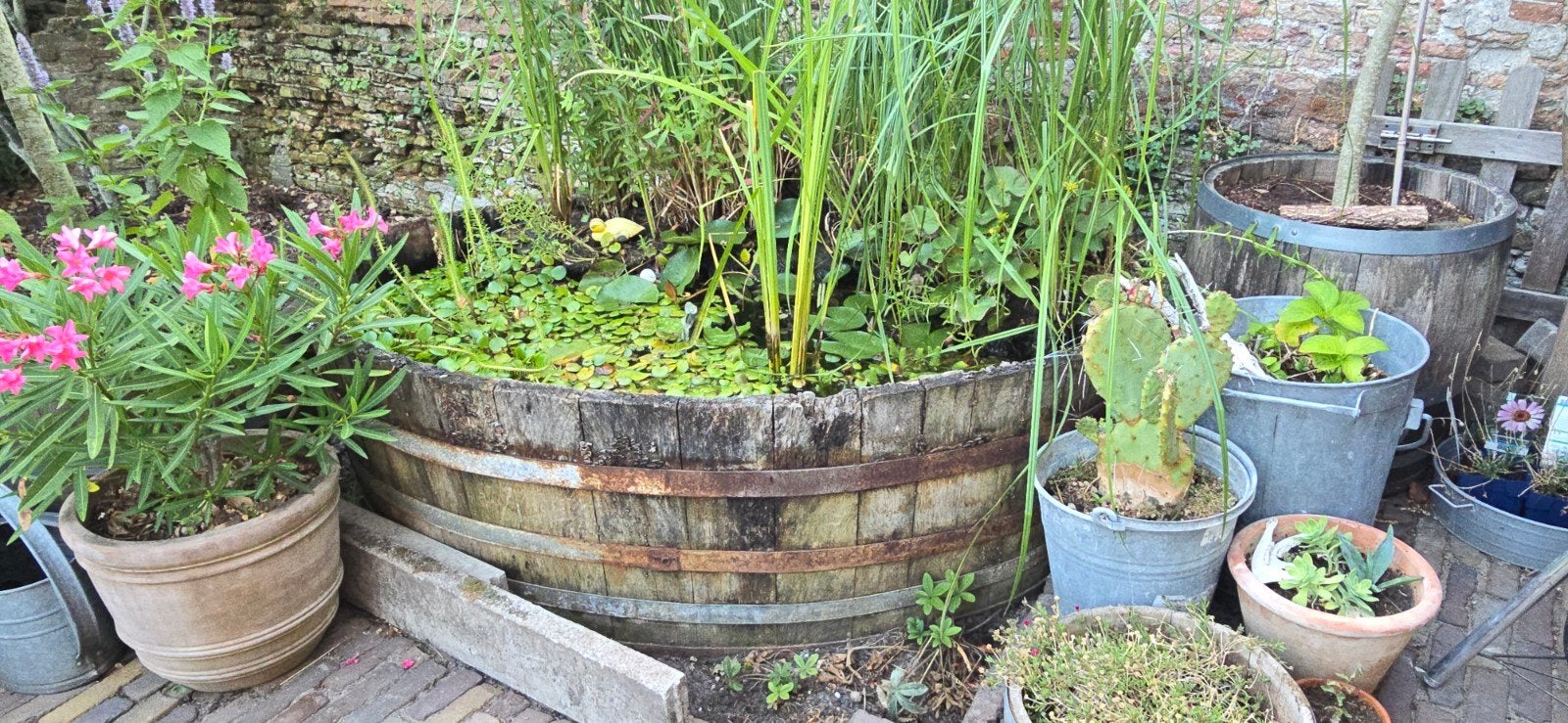 Oude houten kuip - Perfect voor vijver of planten, Ophalen, Gebruikt, 100 cm of meer, Rond