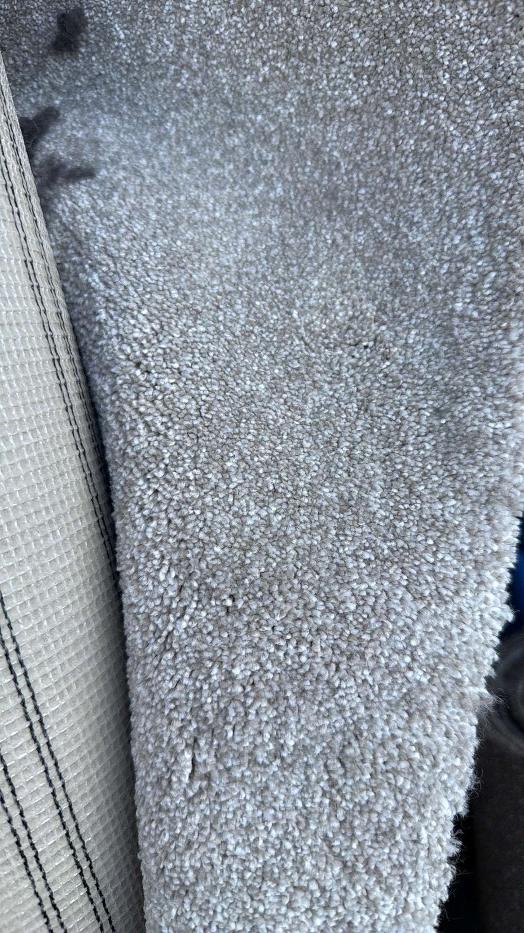 ‼️coupon tapijt 1,55x4m restanten vloerbedekking Novilon‼️‼️, Ophalen, Nieuw, Tapijt