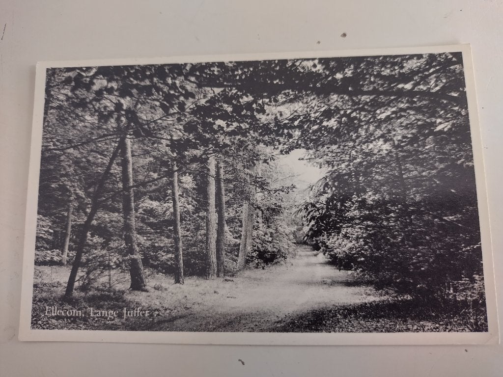 ansicht Ellecom, Verzamelen, Ophalen of Verzenden, 1940 tot 1960, Gelopen, Gelderland