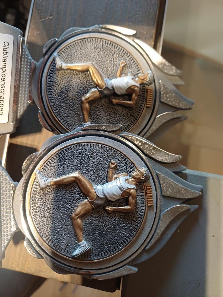 Trofee, Hobby en Vrije tijd, Overige Hobby en Vrije tijd, Ophalen of Verzenden