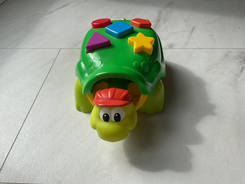Schildpad, Ophalen of Verzenden, Zo goed als nieuw