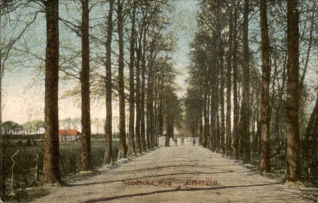 Eibergen - Needsche weg - Zicht, Ophalen of Verzenden, 1920 tot 1940, Gelopen, Gelderland