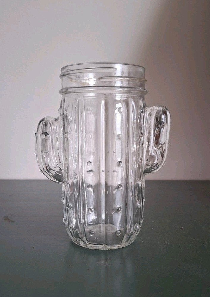 Cactus drinkglas - Mason Jar stijl, Ophalen of Verzenden, Gebruikt, Glas, Overige stijlen