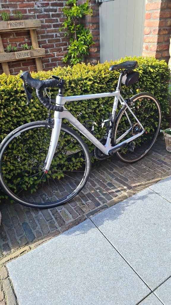 RACEFIETS STEVENS XENON, Carbon, Velgrem, 49 tot 53 cm, Dames