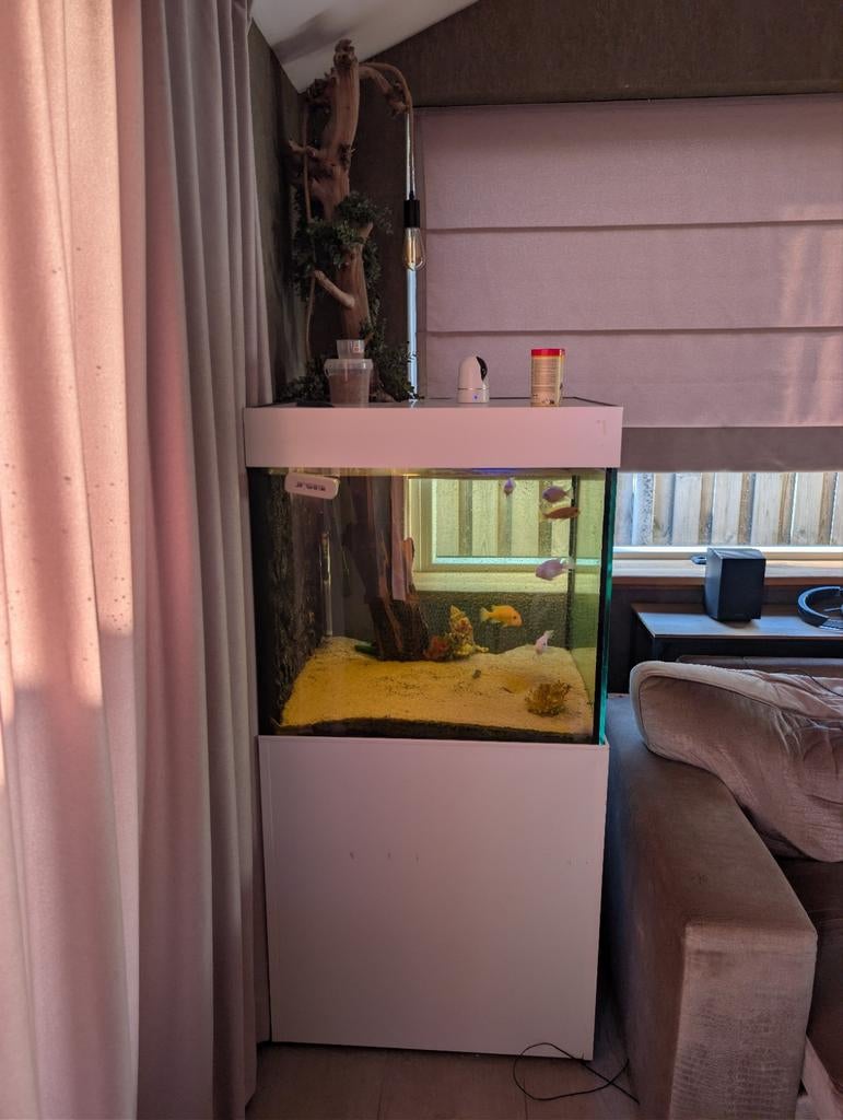 Custom aquarium 70 x 70 x 140 hoog, Ophalen