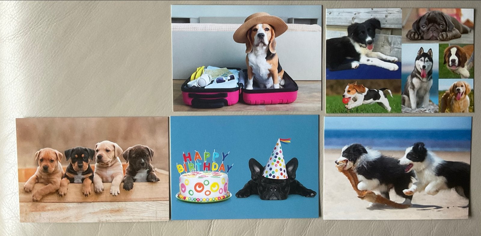 Set van 5 diverse honden ansichtkaarten, Verzamelen, Ophalen of Verzenden, 1980 tot heden, Ongelopen, Hond of Kat
