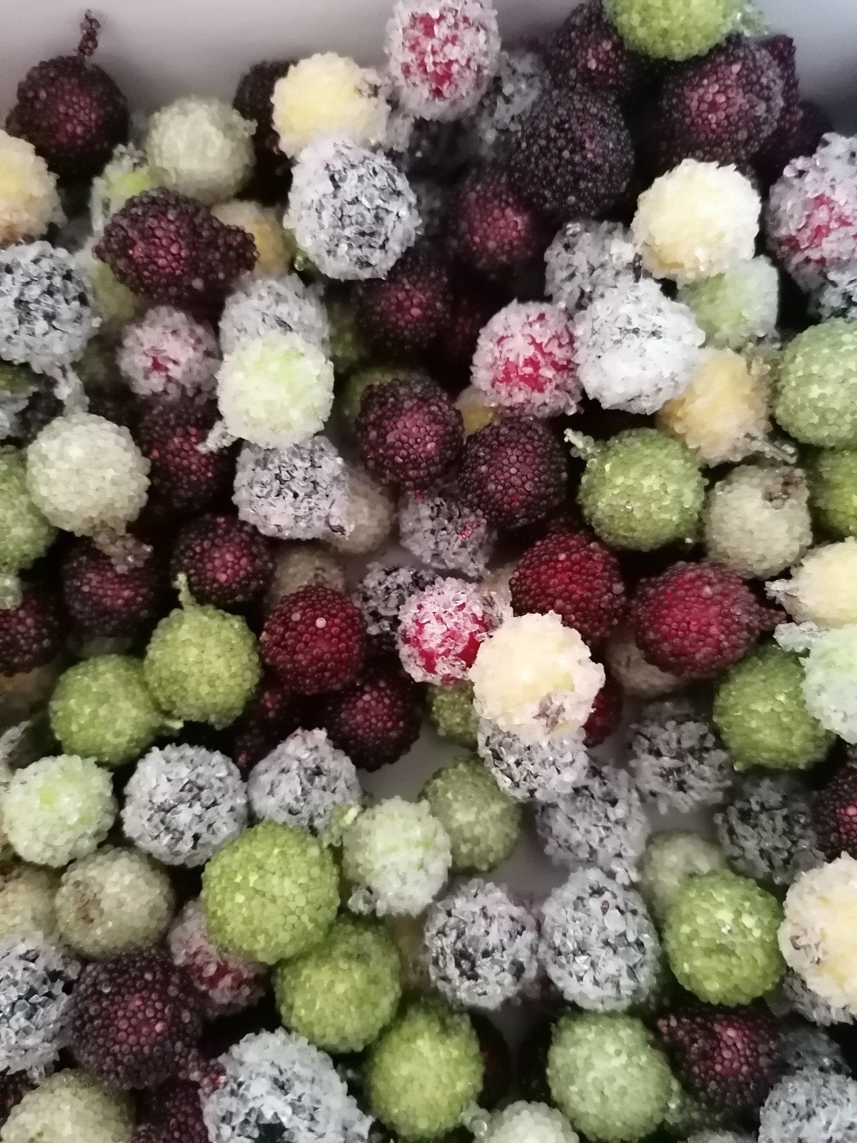 BESSEN EN BESSEN EN NOG EENS BESSEN (GLOEDNIEUW)., Ophalen of Verzenden, Nieuw, Knutselmateriaal