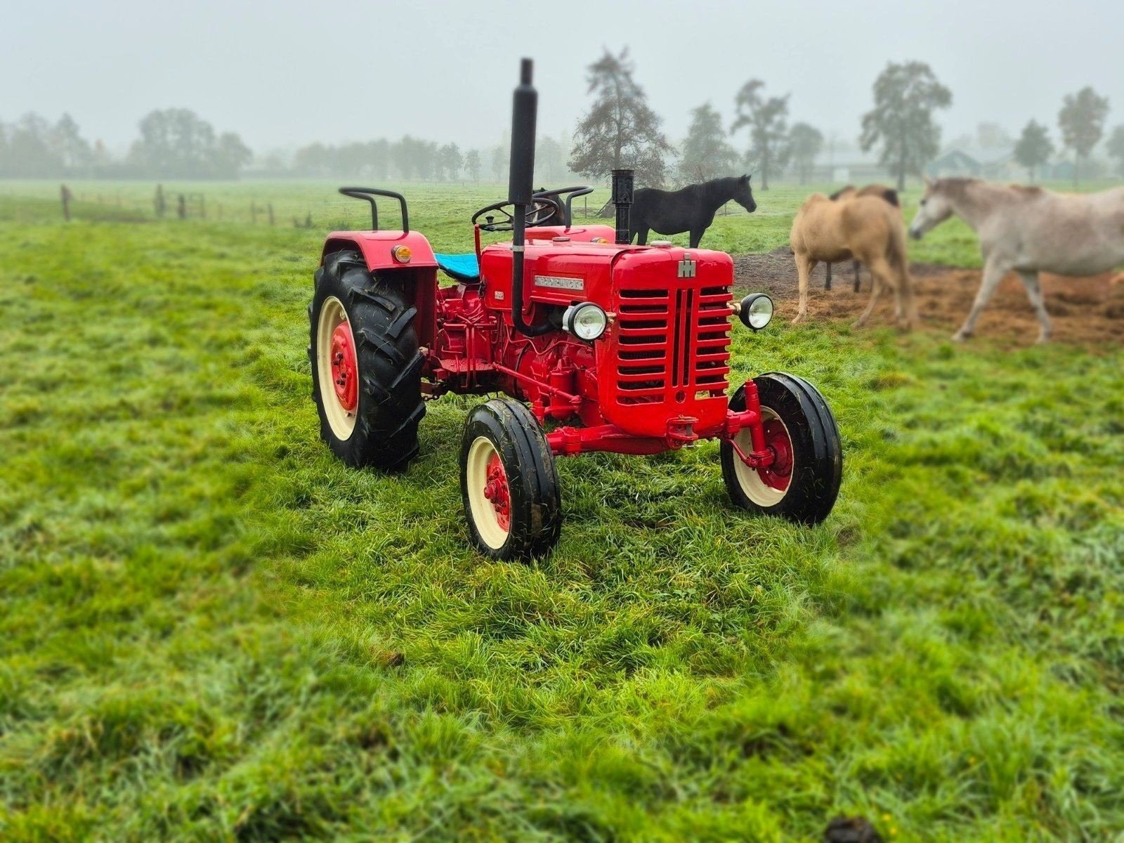 McCormick d436, Ophalen of Verzenden, Gebruikt, Tot 80 Pk, McCormick