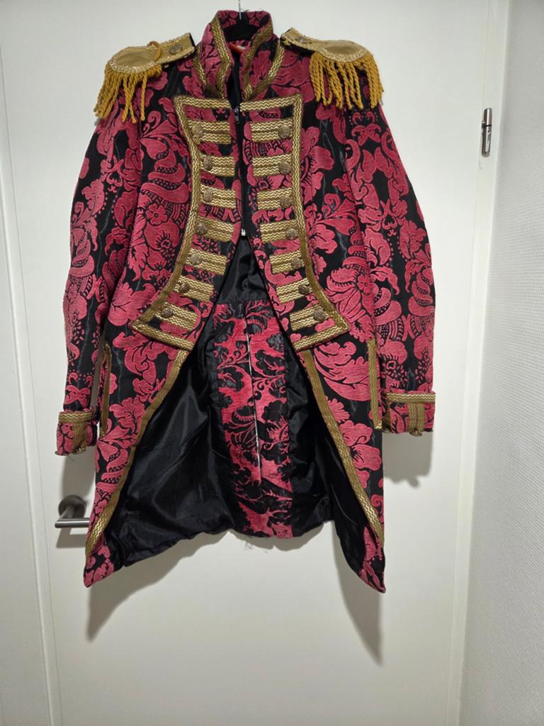 Carnaval / vasteloavend jas maat L, Kleding | Dames, Carnavalskleding en Feestkleding, Ophalen of Verzenden, Zo goed als nieuw
