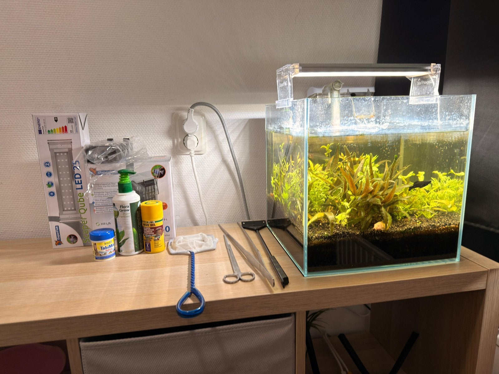 Aquarium met vissen, Ophalen of Verzenden, Zo goed als nieuw, Gevuld zoetwateraquarium