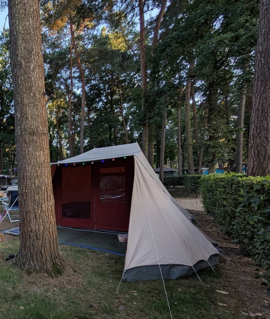 De Waard tent Jan van Gent - Gebruikt, zonder binnentent, Ophalen, Gebruikt, Tot en met 4