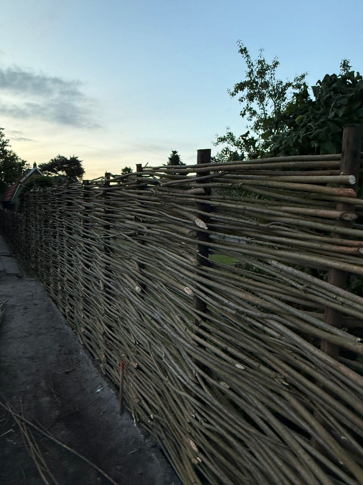 Wilgentakken voor vlechtwerk of tuinafscheiding, Tuin en Terras, Schuttingen, Ophalen of Verzenden, Hout, Minder dan 3 meter