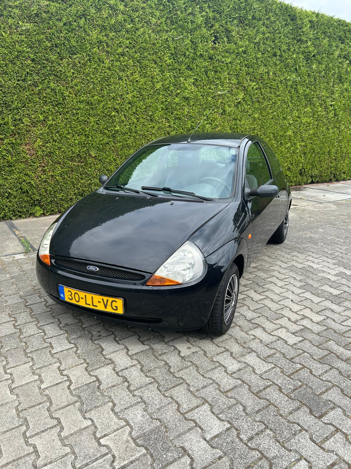 Ford Ka 1.3 I 44KW 2003 Zwart, Voorwielaandrijving, 1299 cc, 15 km/l, 31 €/maand