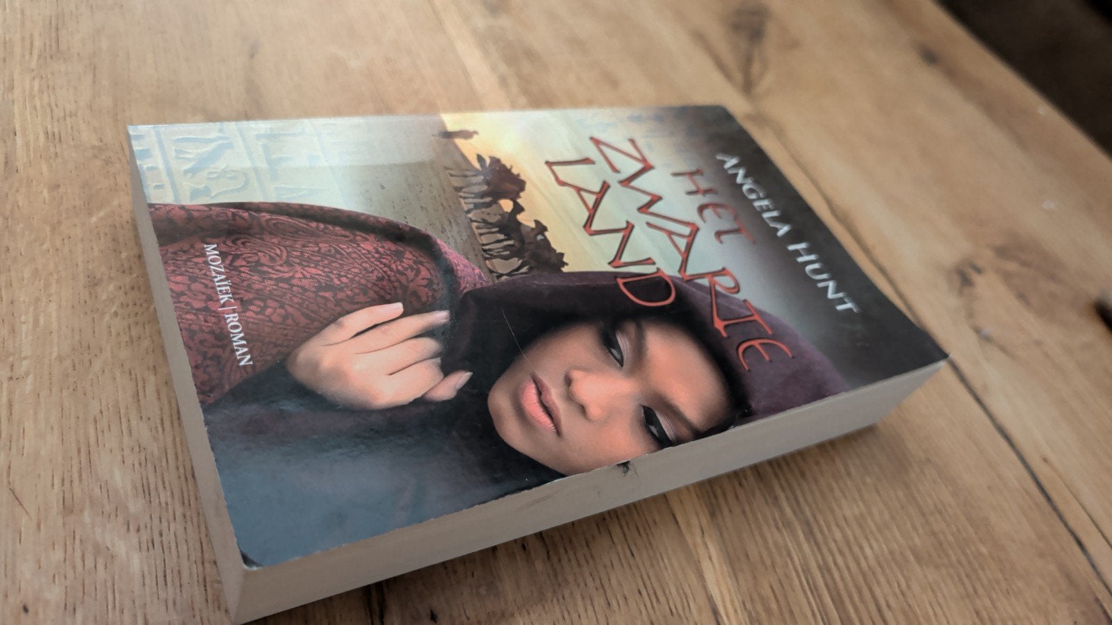 Het Zwarte Land - Angela Hunt (Mozaïek Roman), Boeken, Ophalen of Verzenden, Gelezen, Angela Hunt