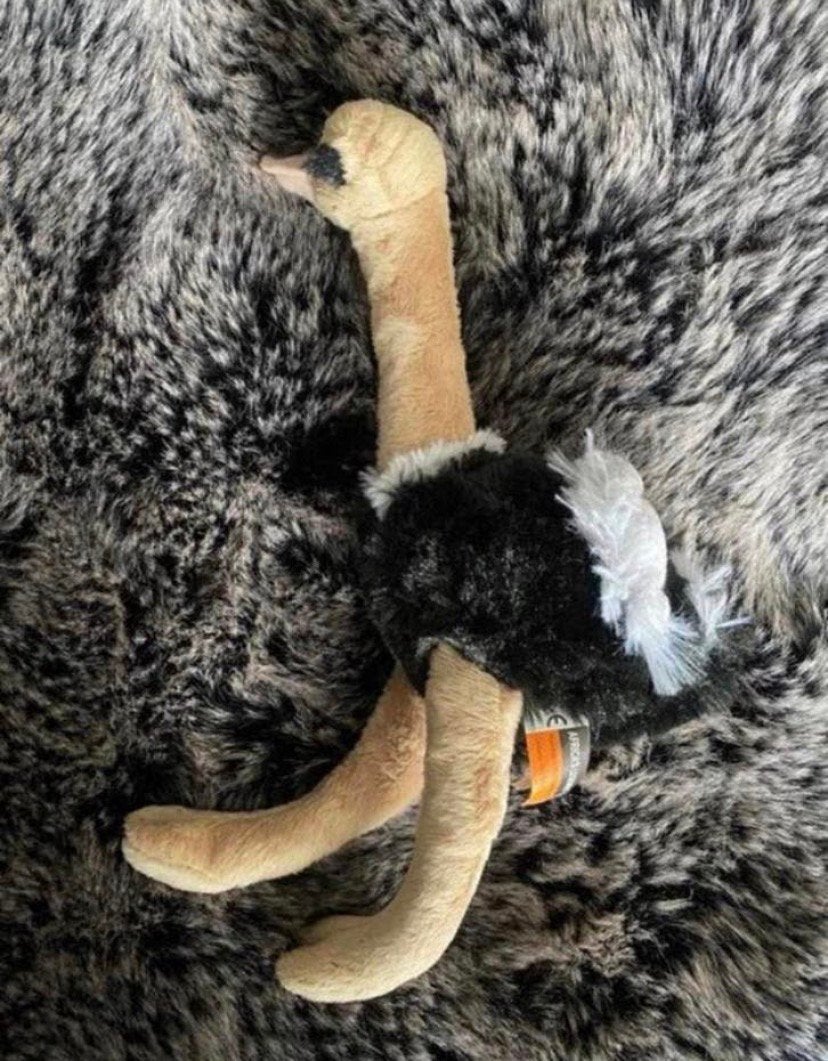 Struisvogel knuffel / nieuw ! 25 cm, Verzenden, Nieuw, Overige typen