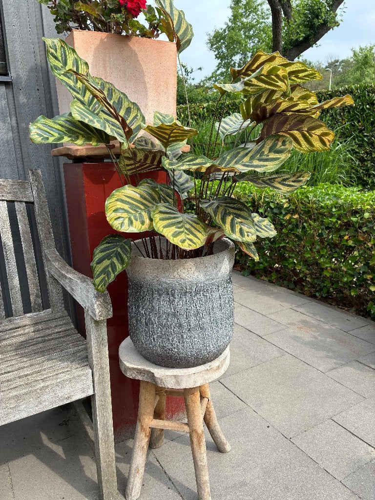 Nieuwe grijze terracotta potten Sempré, Tuin en Terras, Bloempotten, Rond, Nieuw, Minder dan 40 cm, Balkon
