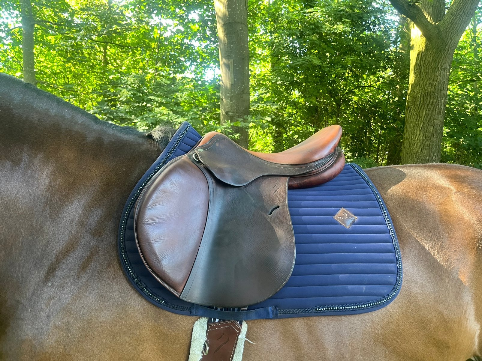 Antarès springzadel, Ophalen of Verzenden, Gebruikt, Springen, L (17.5 inch)