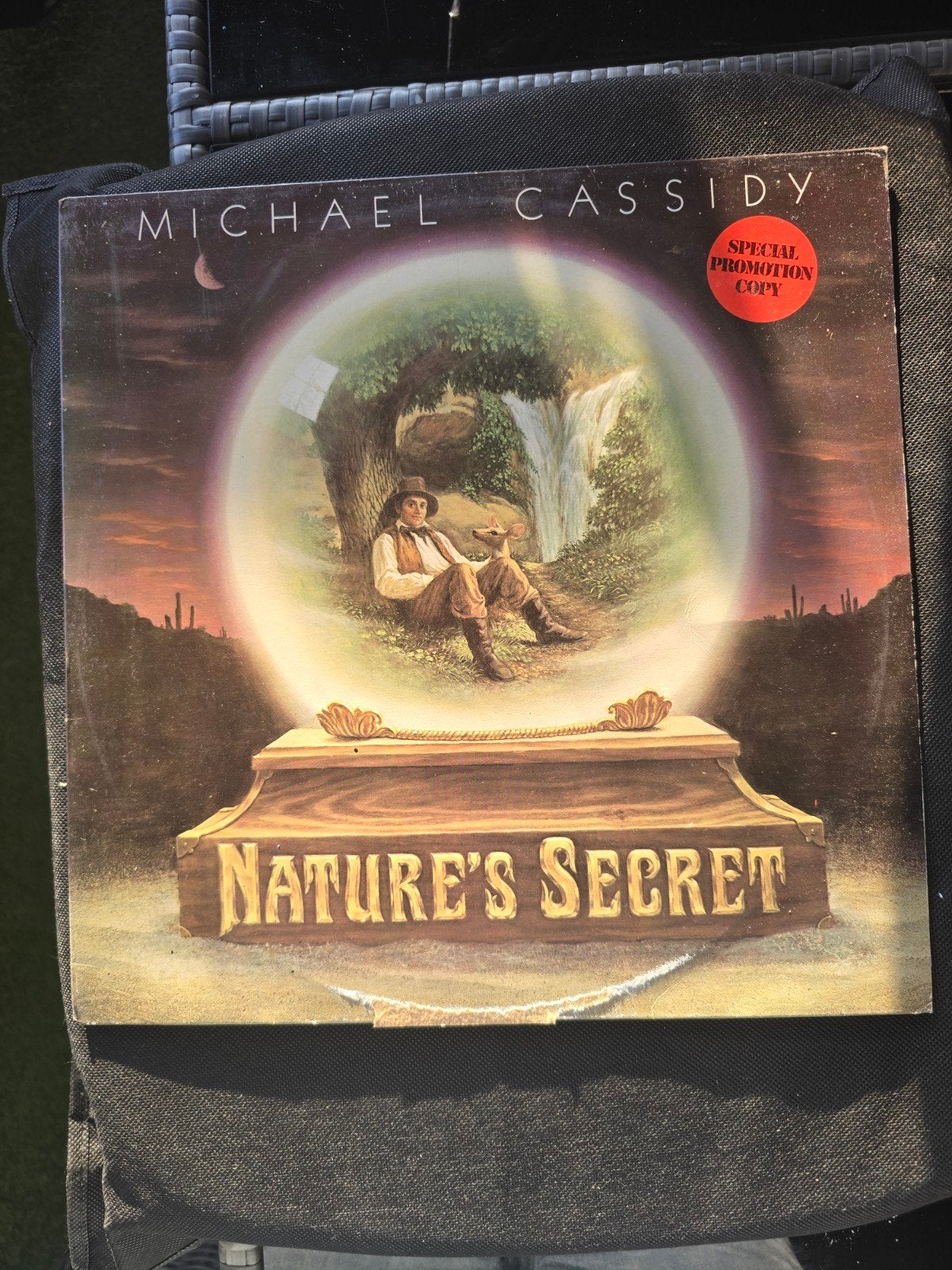 Michael Cassidy - Nature's Secret LP Vinyl, LP, Gebruikt, Pop, Promo