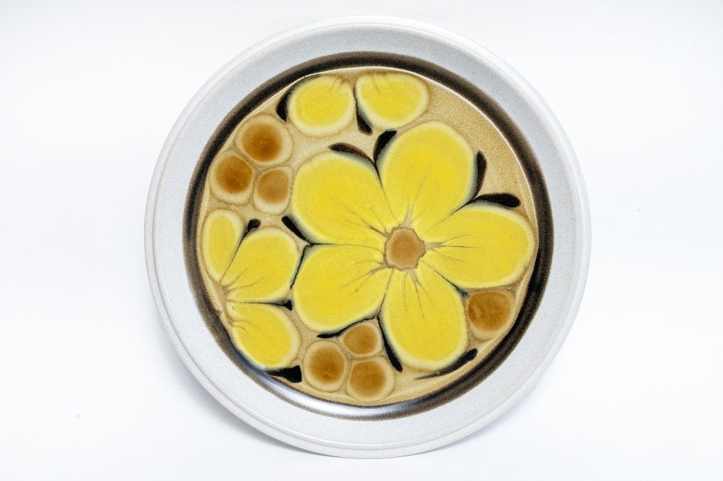 Vintage Noritake Tahiti aardewerk dinerborden  4 stuks, Huis en Inrichting, Keuken | Servies, Ophalen of Verzenden, Zo goed als nieuw
