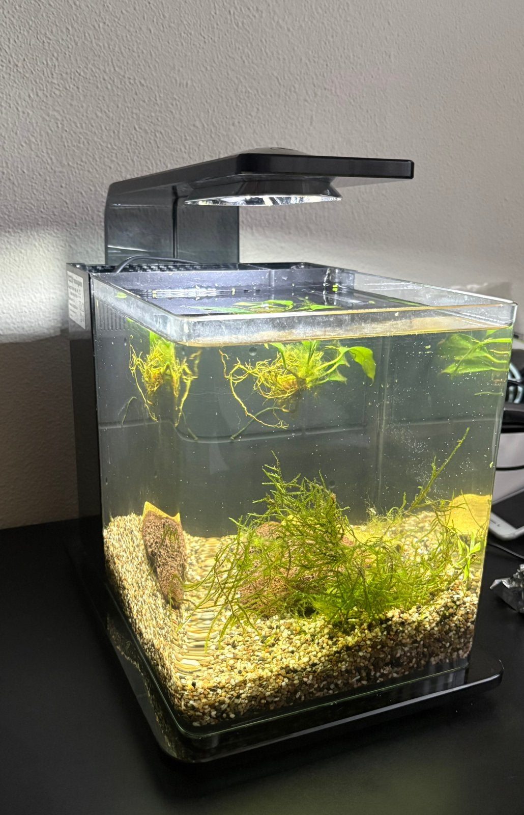 11liter aquarium compleet, Ophalen, Zo goed als nieuw, Leeg aquarium