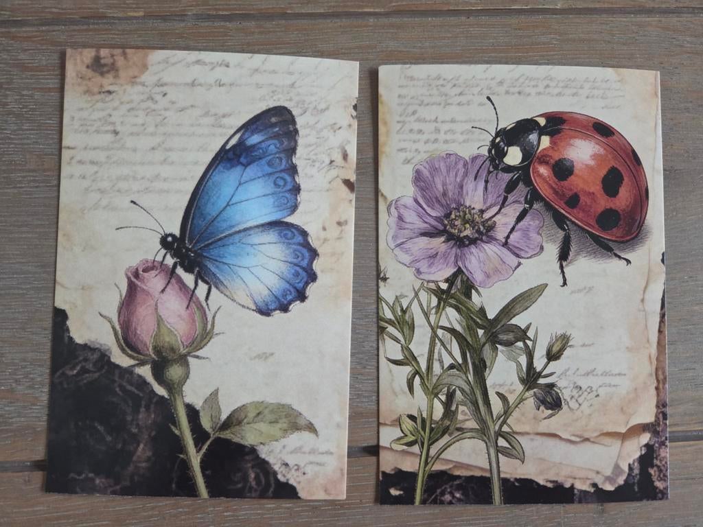 INSECTEN 5, Ophalen, Paard