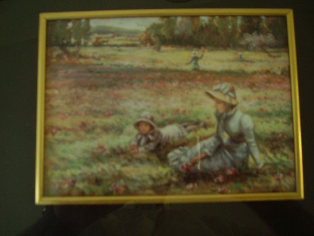 schilderij print glas lijst metaal goud woonkamer decoratie, Landschap, Ophalen of Verzenden, Print, Gelimiteerde oplage