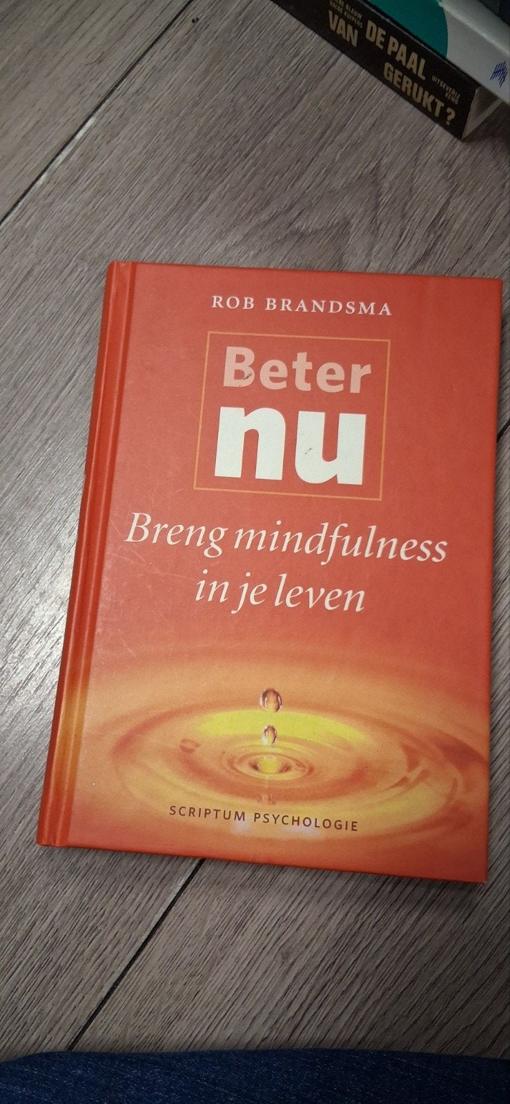 Beter nu: Breng mindfulness in je leven - Rob Brandsma, Boeken, Ophalen of Verzenden, Gelezen, Overige onderwerpen, Rob Brandsma