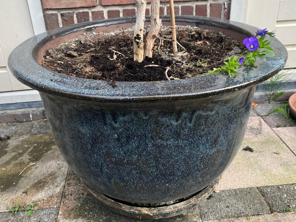 Grote donkerblauwe glazuren pot met schotel (70 cm), 40 cm of meer, Rond, Binnen, Ophalen of Verzenden