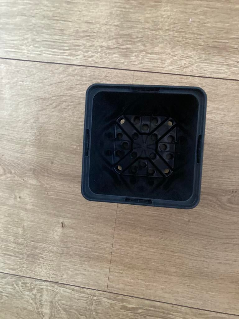 Plastic pot p11 1 liter, Ophalen, Kunststof, Minder dan 30 cm, Minder dan 60 cm