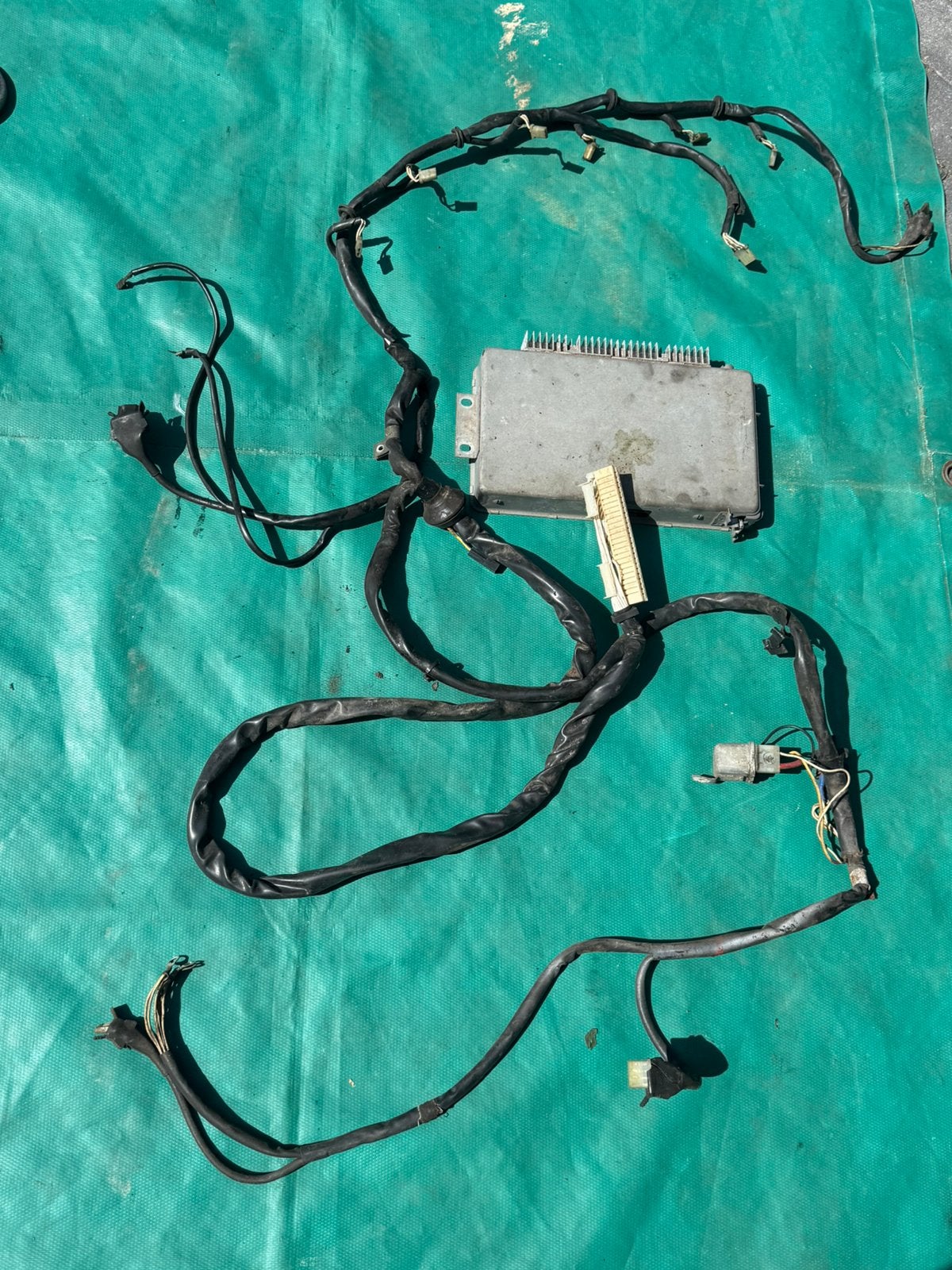 ECU met kabelboom voor B30E motor volvo 164 - Origineel, Ophalen, Gebruikt, Volvo