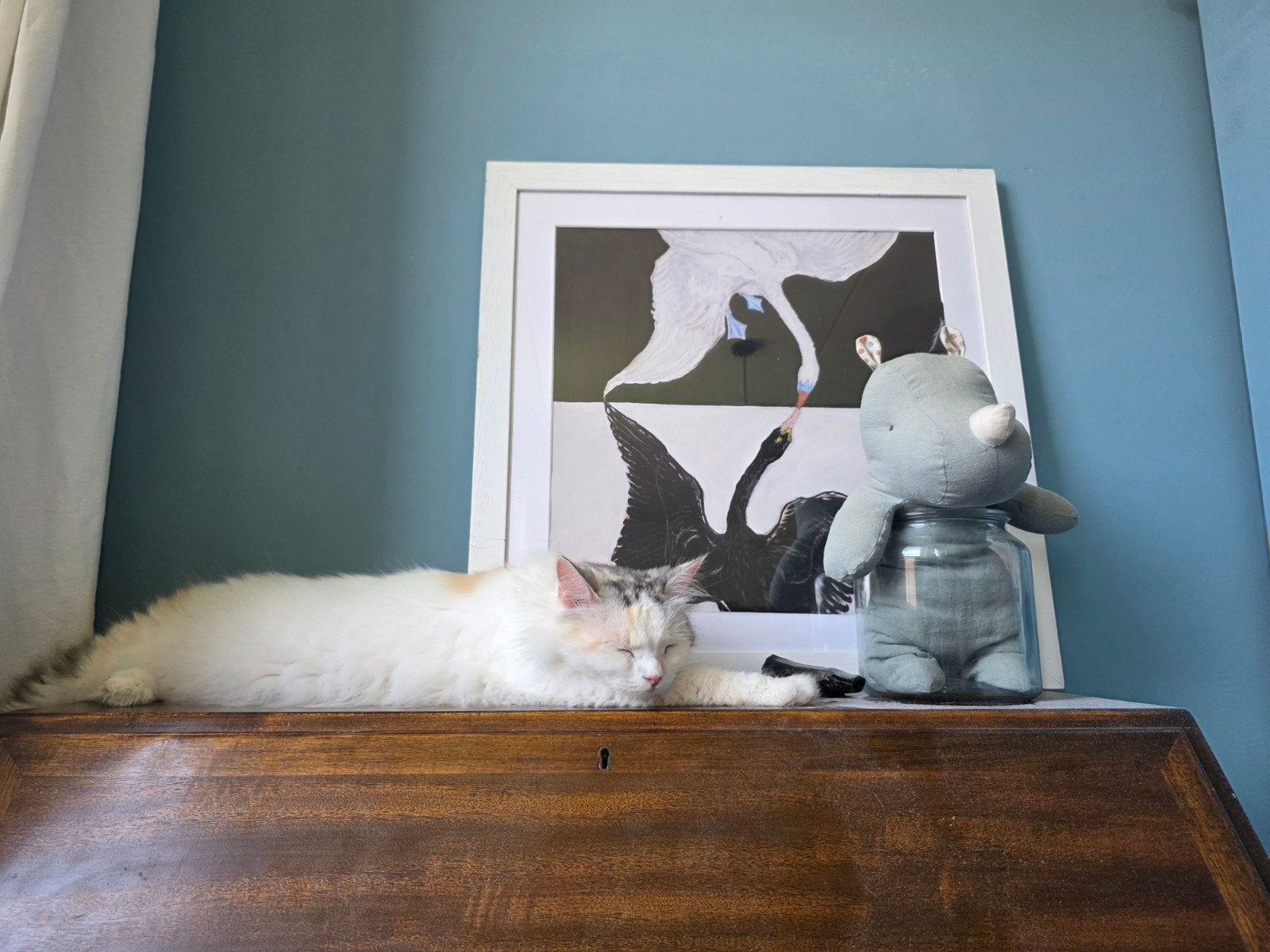 Lieve mooie poes zoekt gouden mandje, Dieren en Toebehoren, Poes