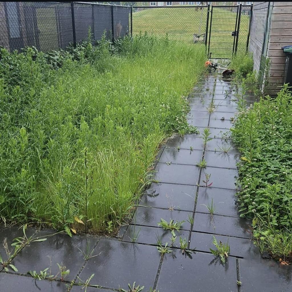 Tuinieren / stratenmaker, Ophalen of Verzenden, Nieuw, Beton, Terrastegels