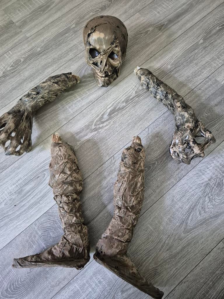 Griezelige Halloween Decoratie: Skelet Onderdelen, Fantasie, Gebruikt, Handgemaakt, Ophalen of Verzenden