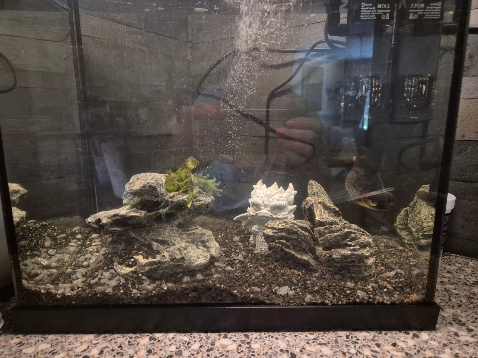 aquarium klein met vis, Ophalen, Gebruikt, Leeg aquarium
