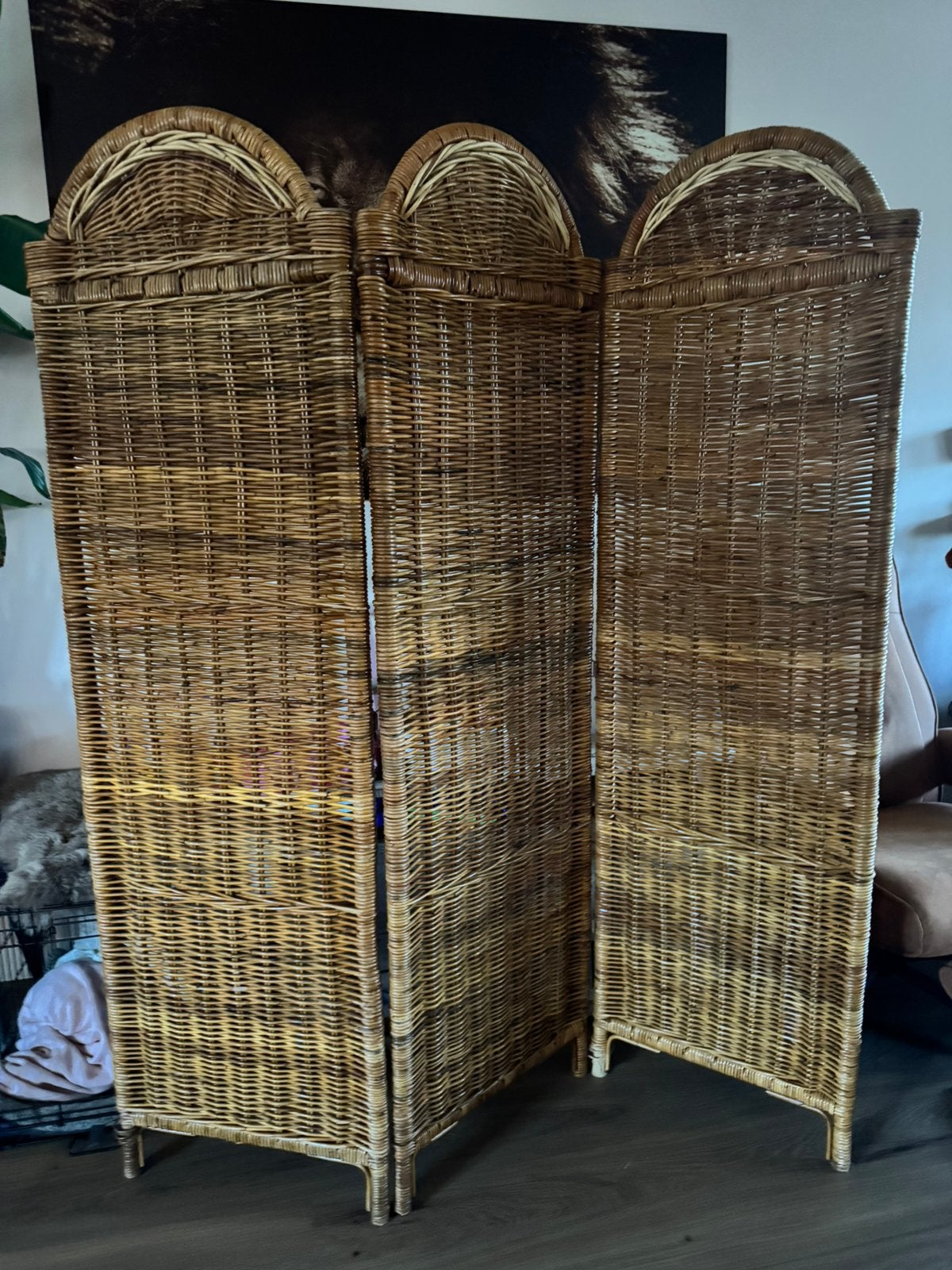 Oud vintage kamerscherm rotan, Ophalen, Zo goed als nieuw