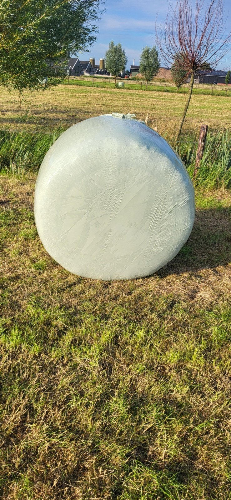 Grote ronde balen, Ophalen of Verzenden, Vee