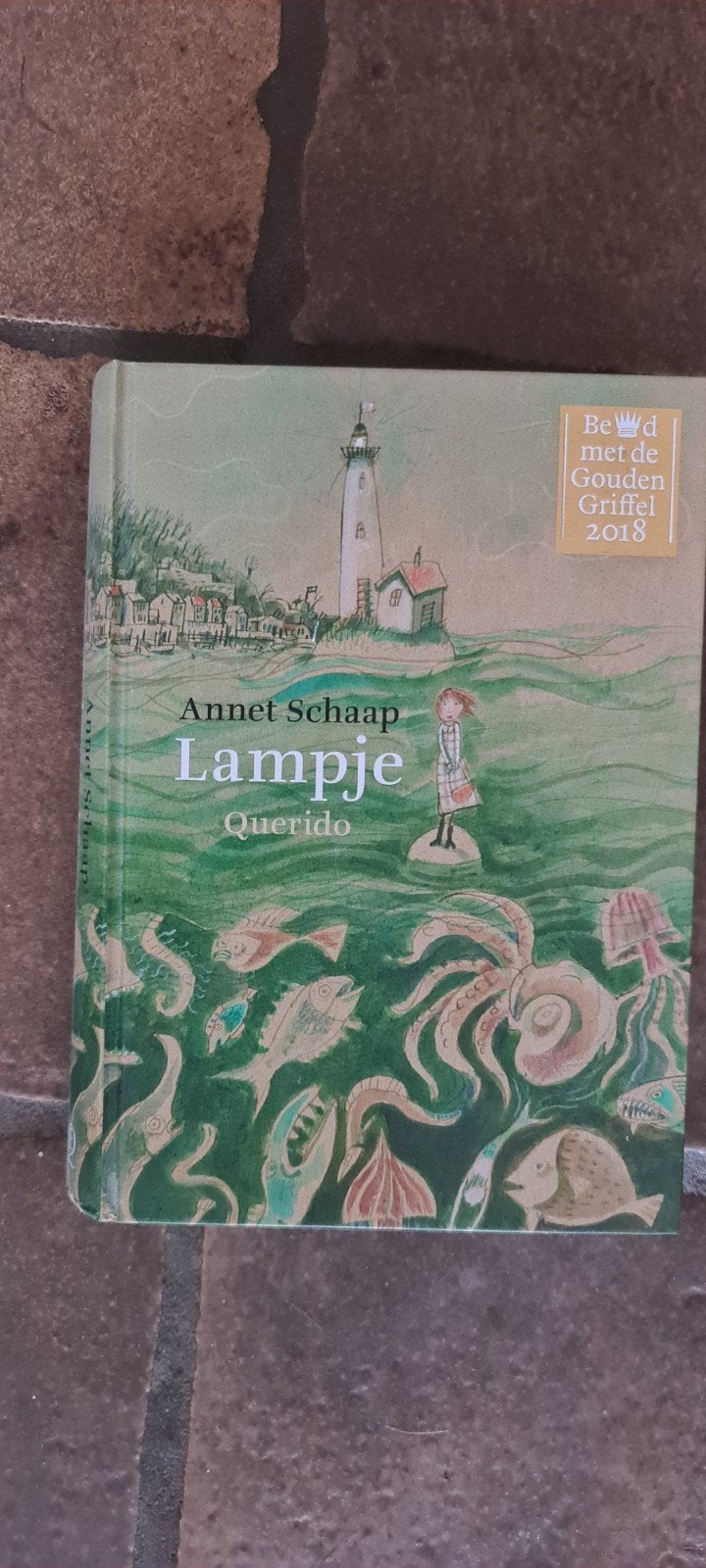 Lampje - Annet Schaap (Bekroond met Gouden Griffel), Ophalen of Verzenden, Zo goed als nieuw, Annet Schaap, Fictie algemeen