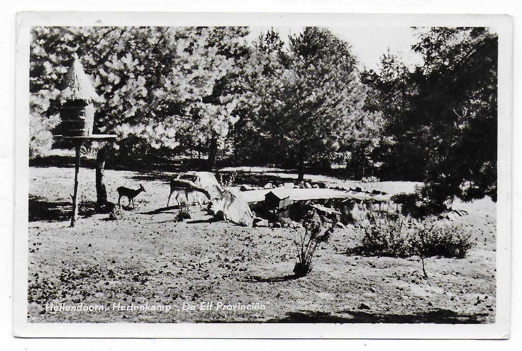 Hellendoorn Hertenkamp   gelopen  Ansichtkaart  (B8333), Ophalen of Verzenden, 1960 tot 1980, Gelopen, Overijssel