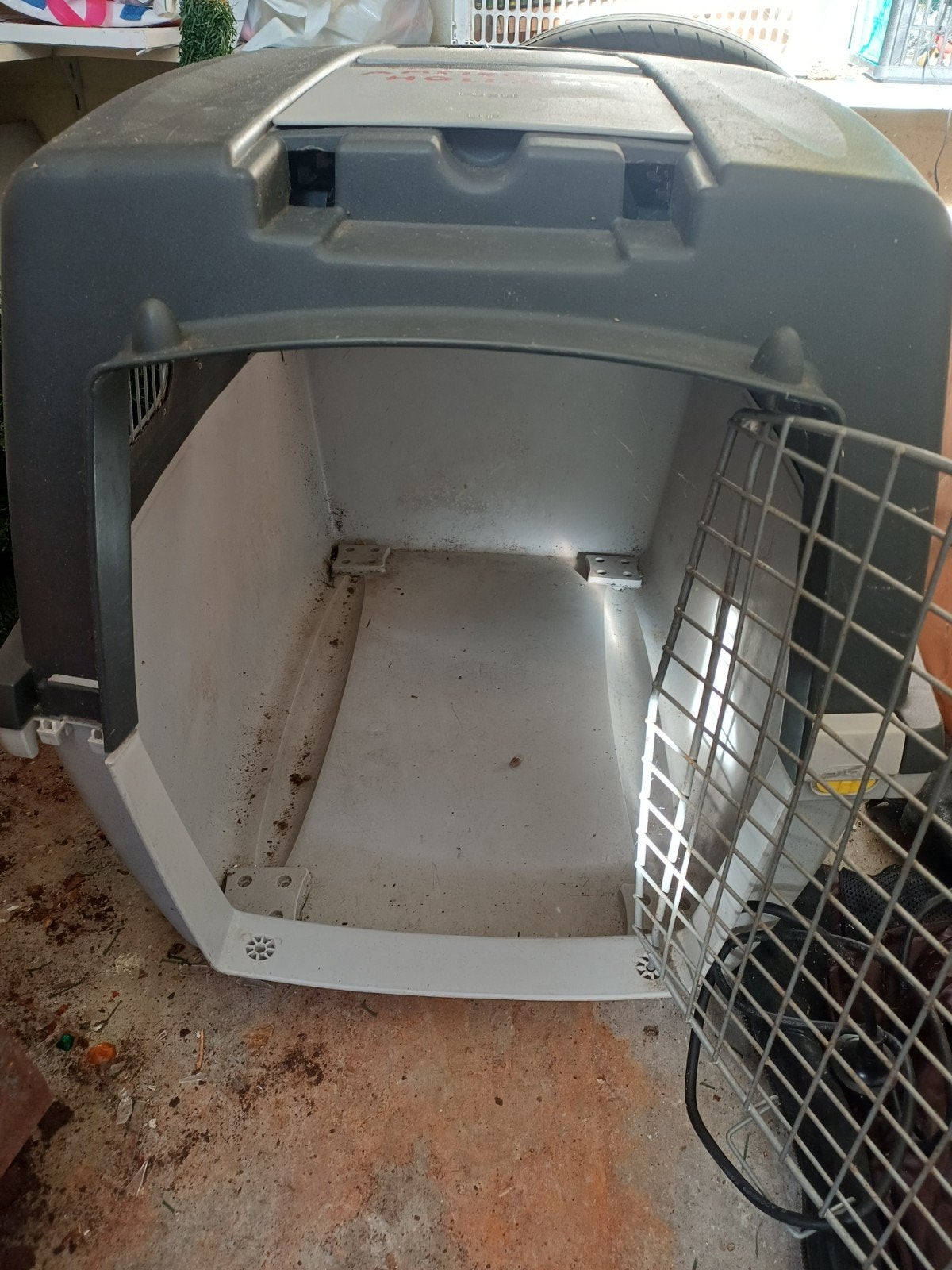 grote  honden benz, Dieren en Toebehoren, Ophalen