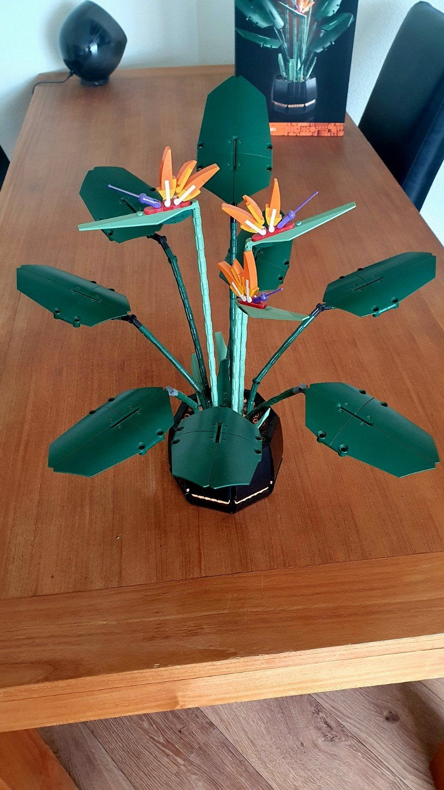 LEGO Botanical Collection Paradijsvogelplant 10289, Kinderen en Baby's, Speelgoed | Duplo en Lego, Ophalen, Zo goed als nieuw