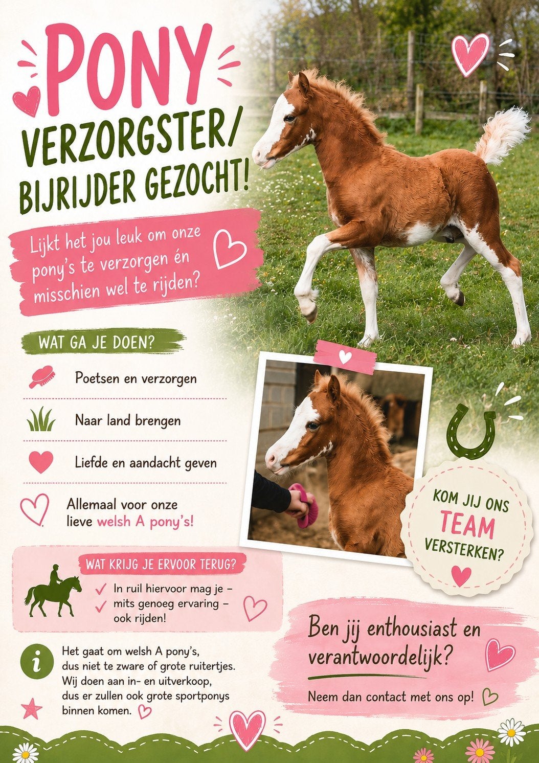 Enthousiaste verzorgster/bijrijder gezocht!!, Ophalen of Verzenden